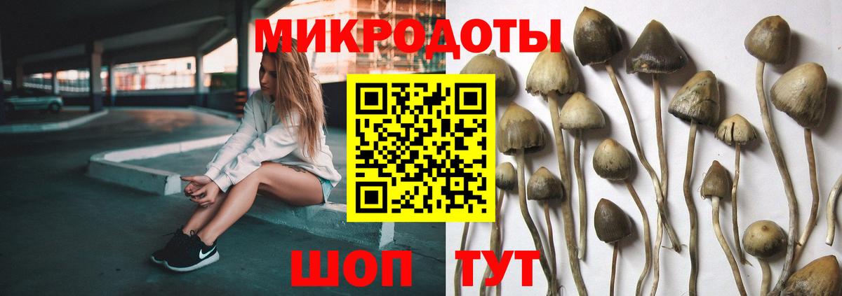 Галлюциногенные грибы Magic Shrooms  Вход с VPN  закладка  Обь 